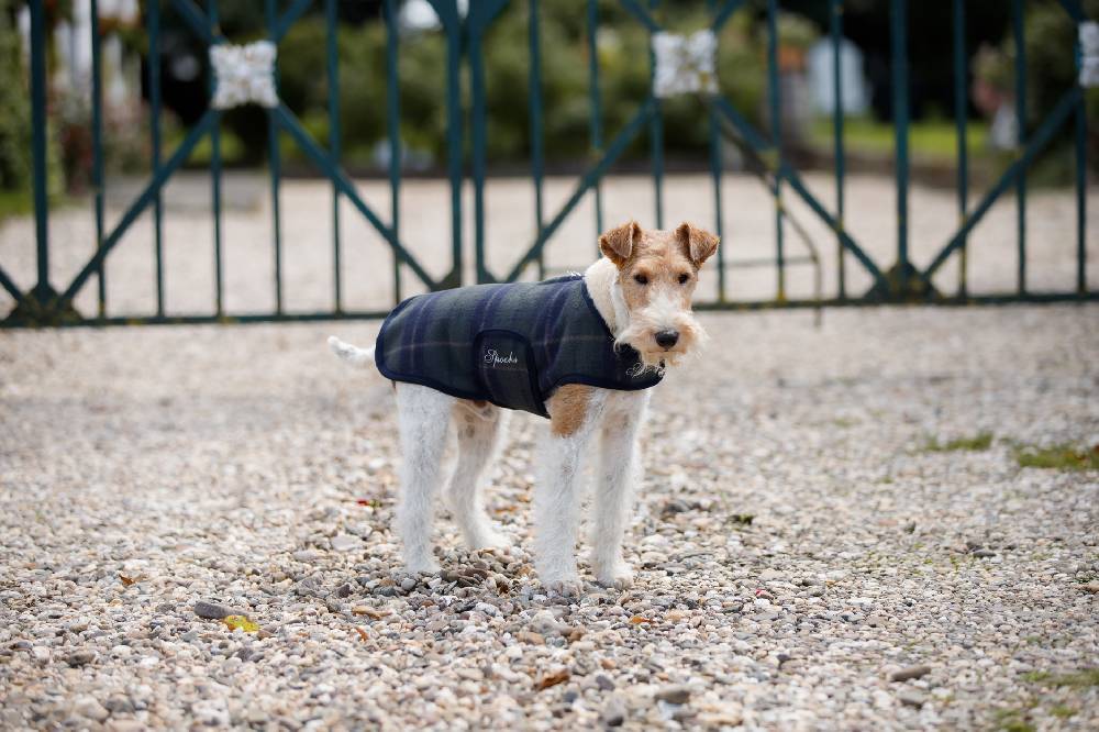 Spooks Dog Coat Olssi Online Outlet