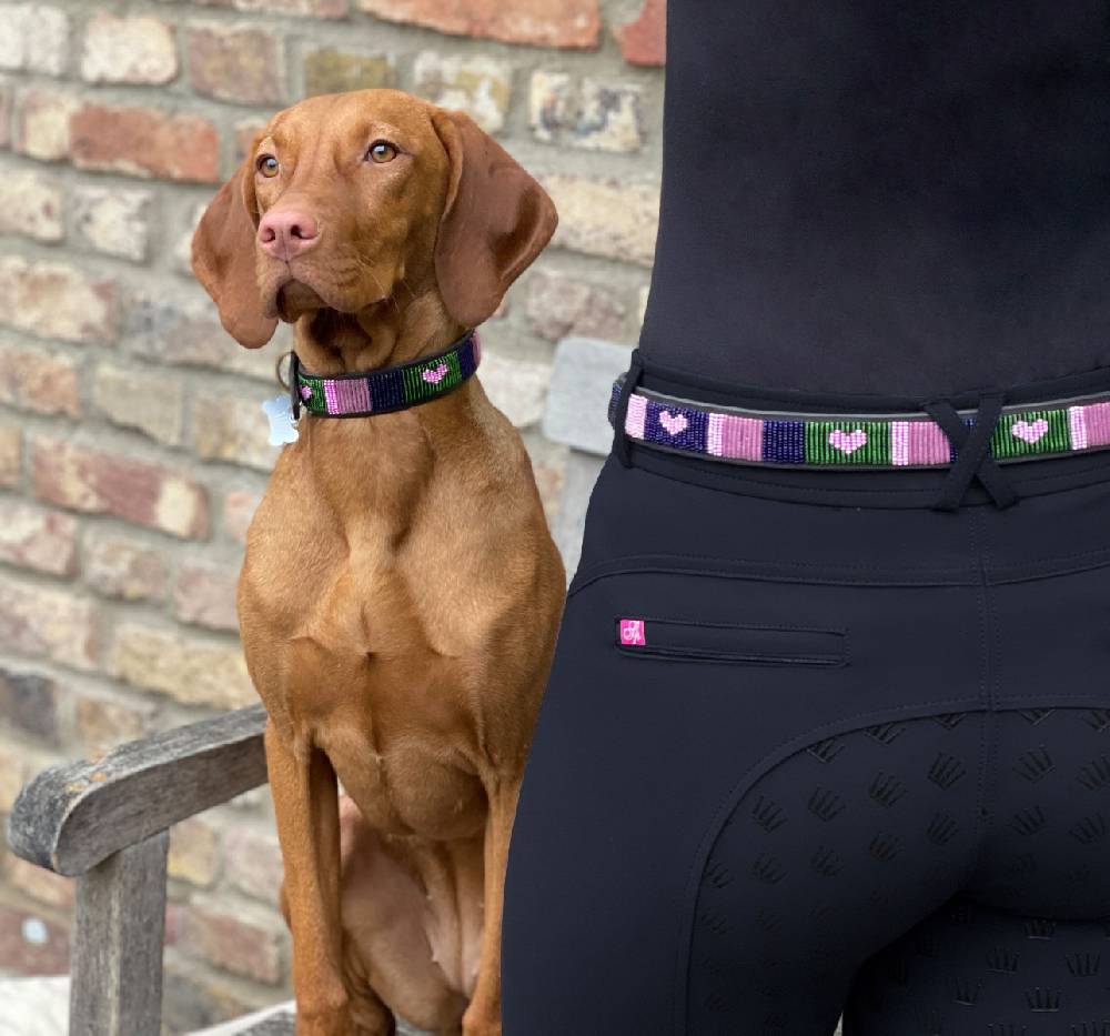 Spooks Hundehalsband Beads Blitzangebot