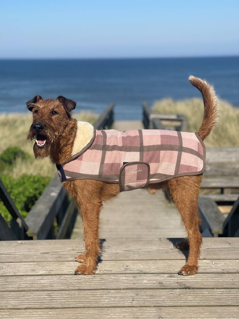 Spooks Dog Coat Olssi Große Rabatte