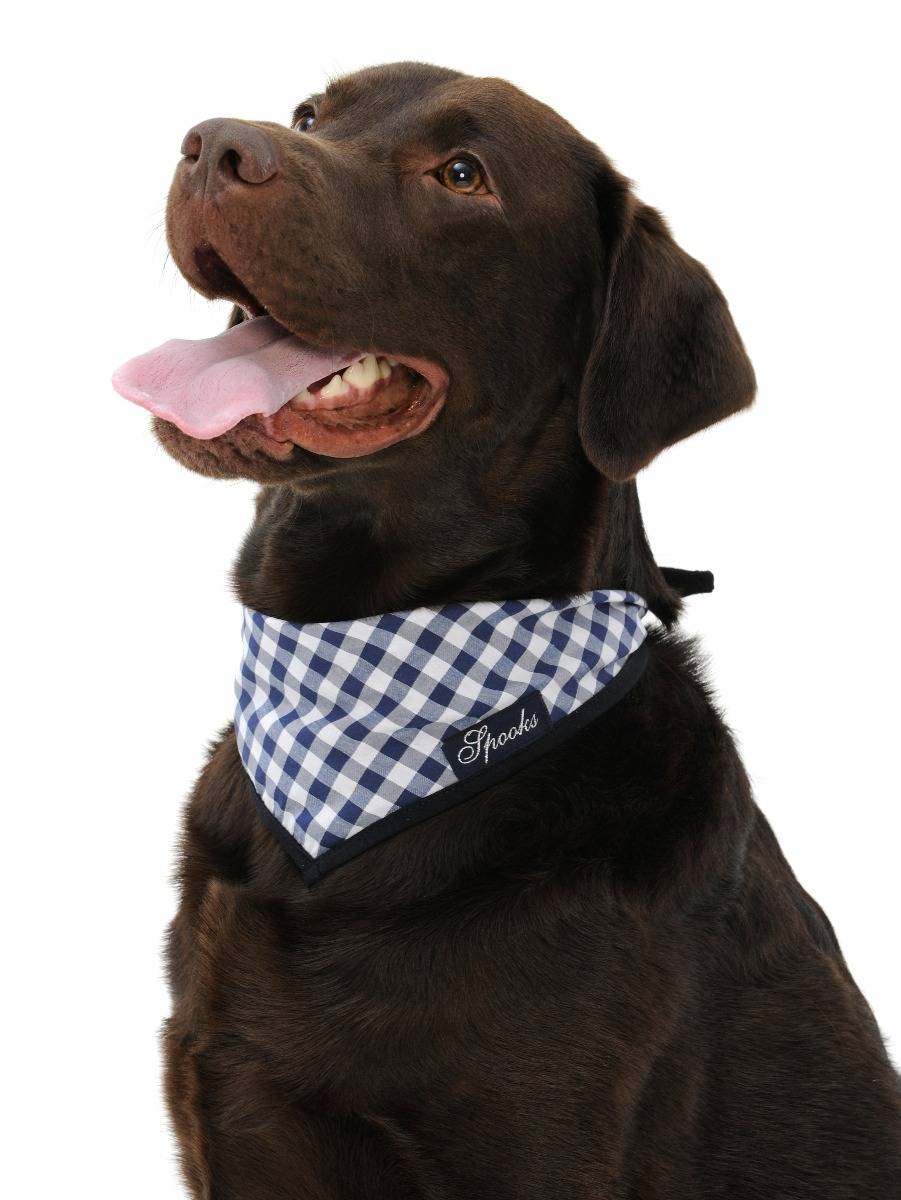 Spooks Dog Necker Chief VIP-Rabatte
