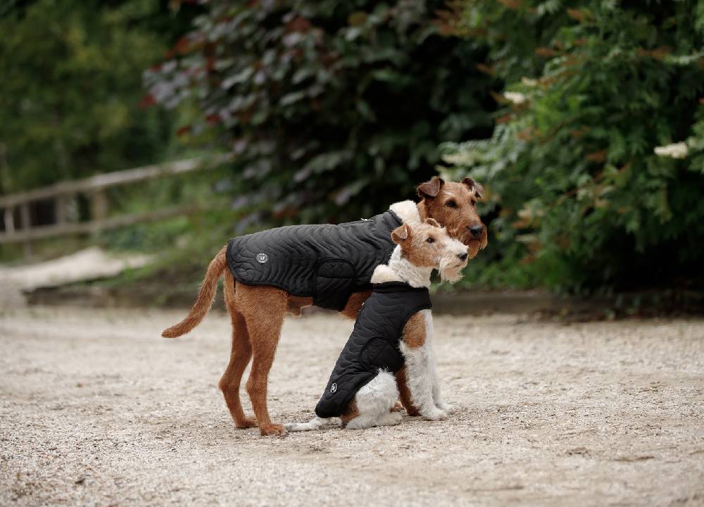 Spooks Dog Coat Classic II Super Sparpreis