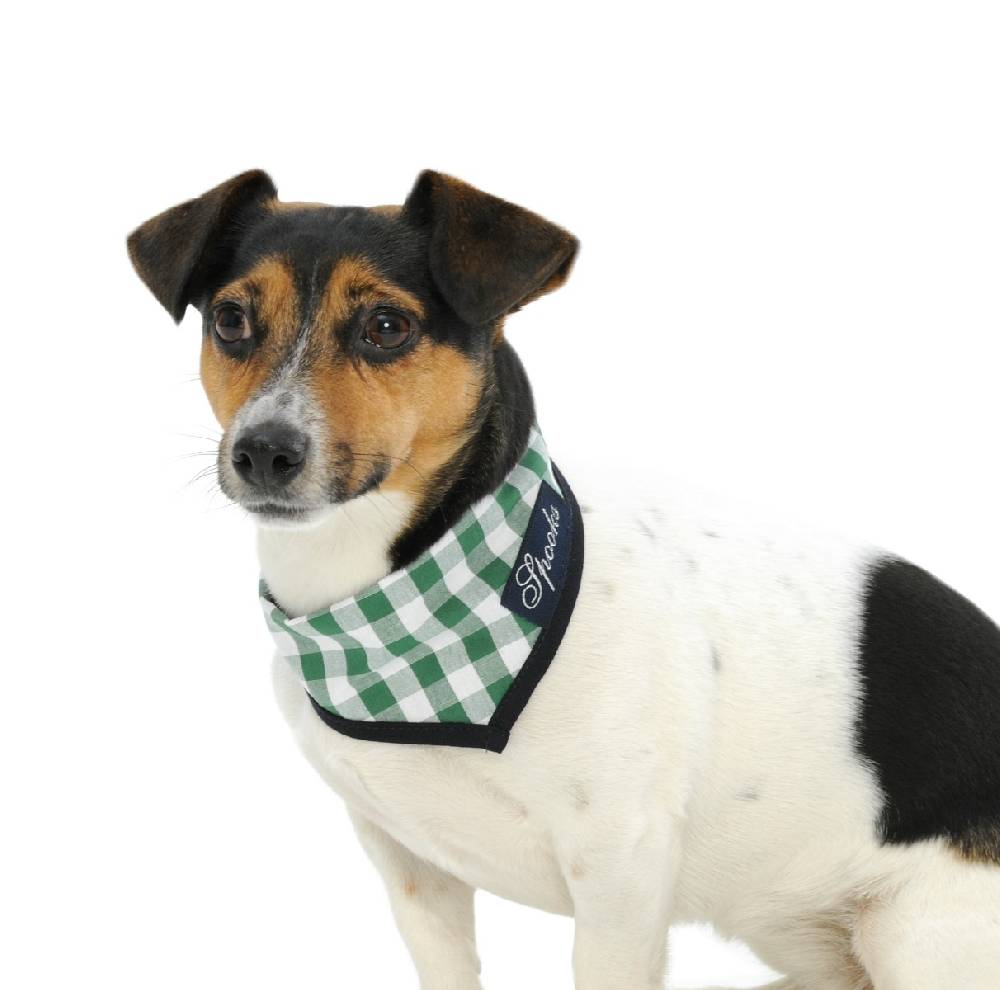 Spooks Dog Necker Chief Kostenloser Versand international