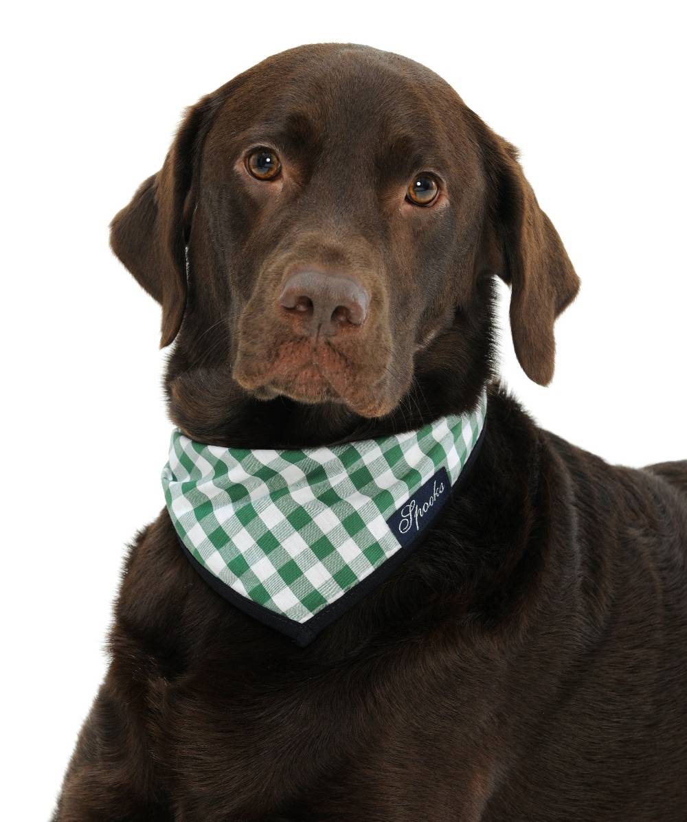 Spooks Dog Necker Chief Kostenloser Versand international