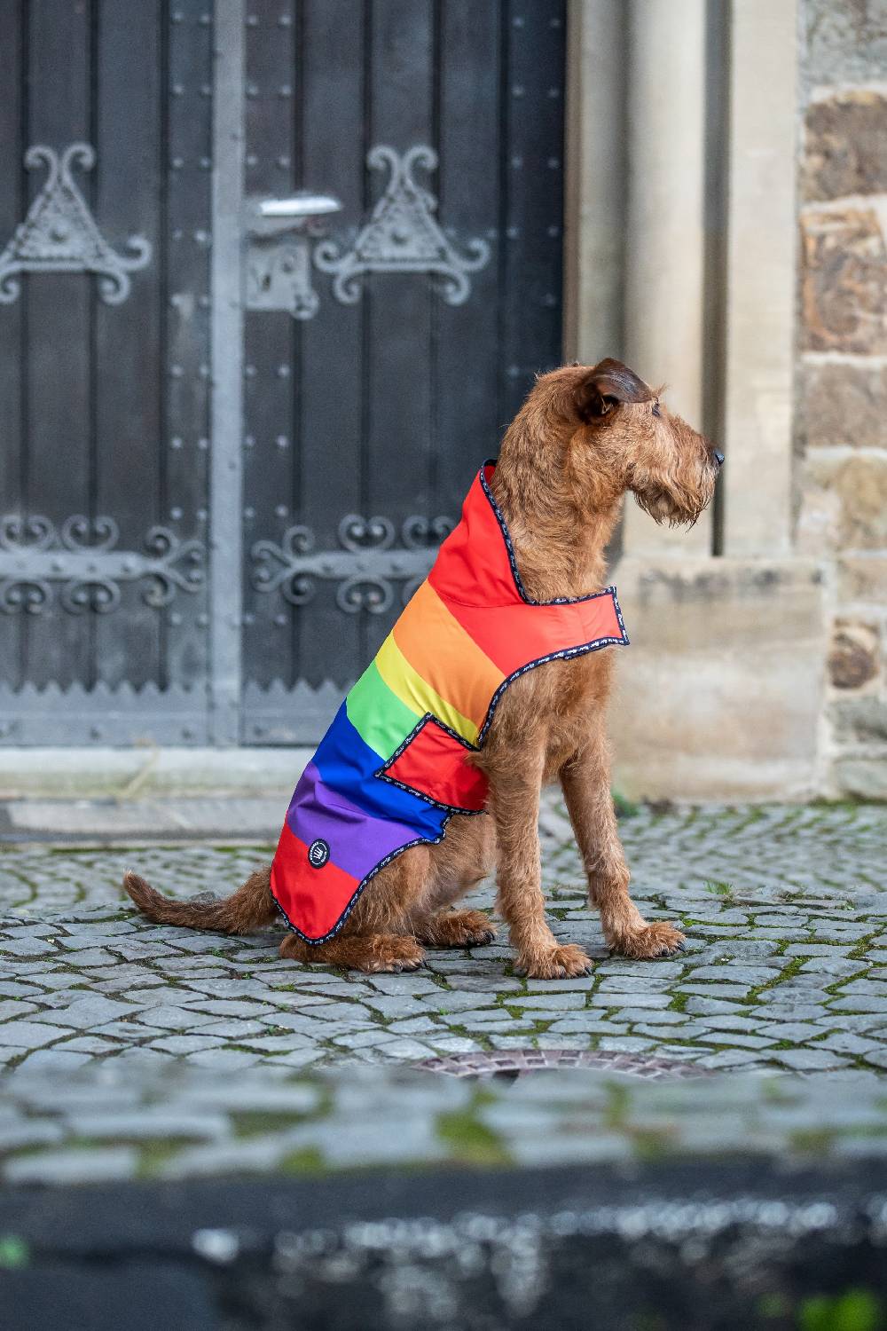 Spooks Dog Rain Coat Begrenzt auf 3 Tage