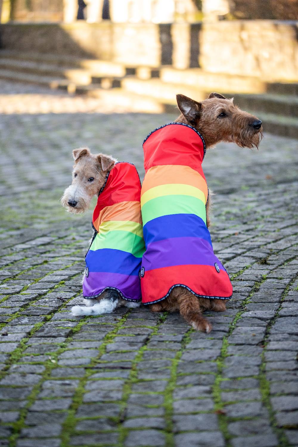 Spooks Dog Rain Coat Begrenzt auf 3 Tage