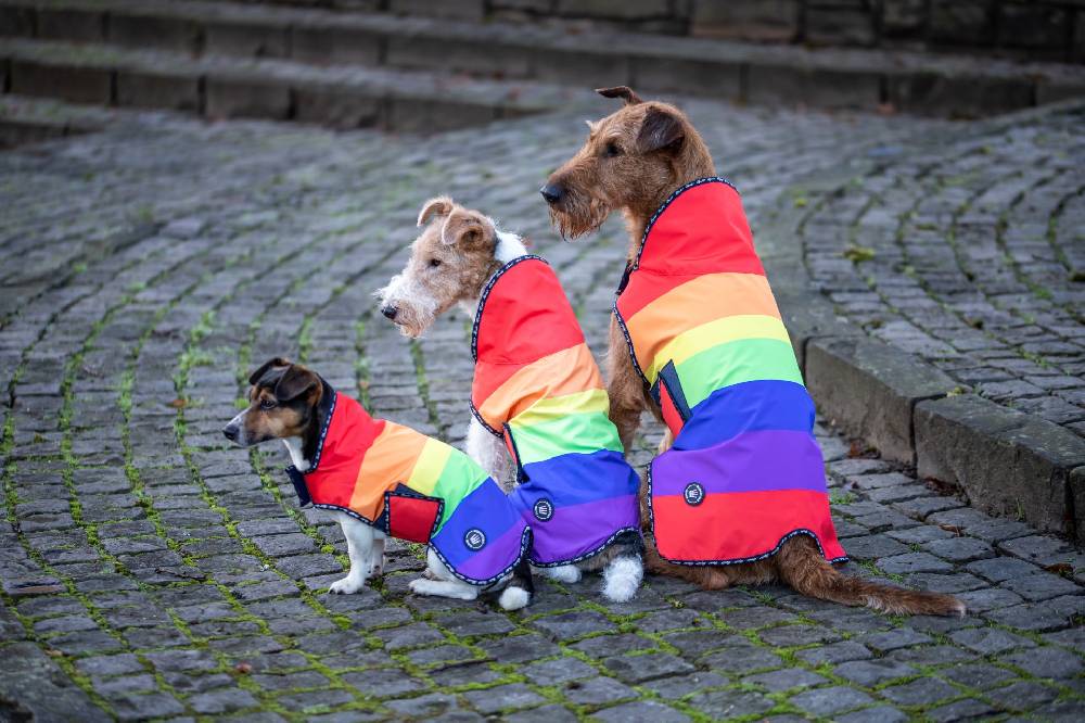 Spooks Dog Rain Coat Begrenzt auf 3 Tage