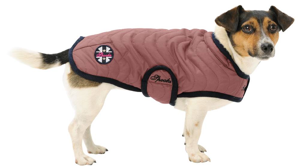 Spooks Dog Coat Classic Speichern exportieren