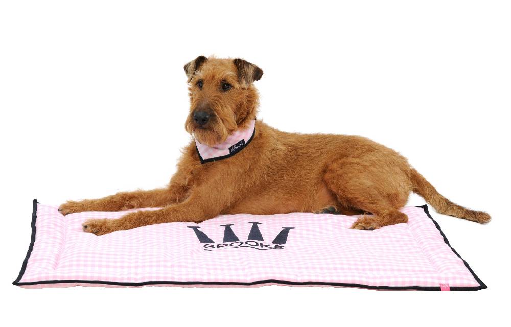 Spooks Dog Plaid 100 x 73 cm Black Friday Preise