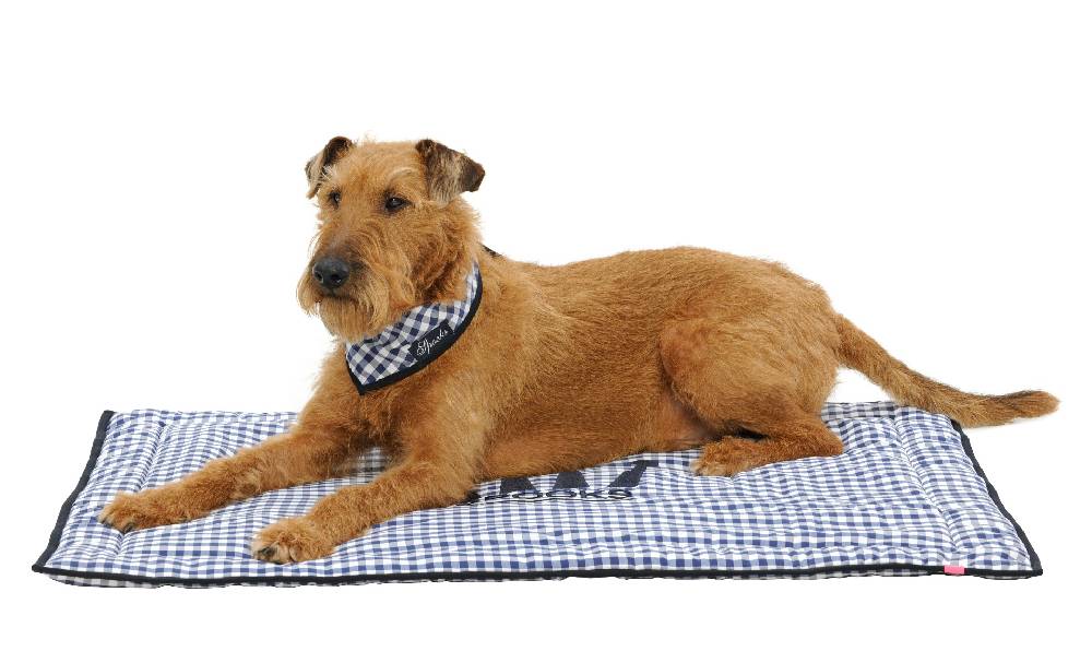 Spooks Dog Plaid 100 x 73 cm Im Verkauf