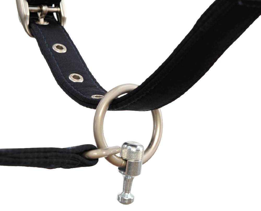 Spooks Magnetic Lead Rope by GOLEYGO Exklusivangebot