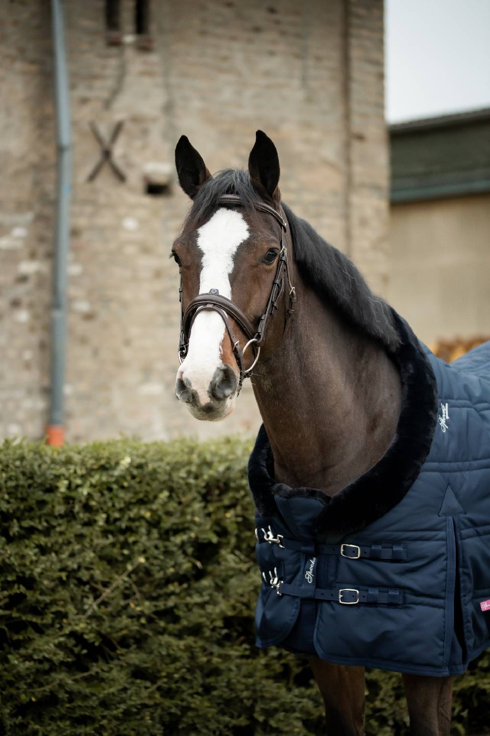 Spooks Stable Rug Cellia 300g Saisonschlussverkauf