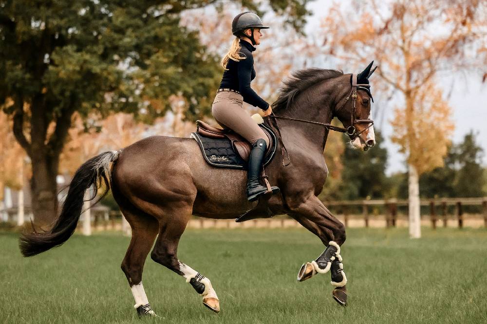 Spooks Tendon Boots Teddy Letzte 3 Tage