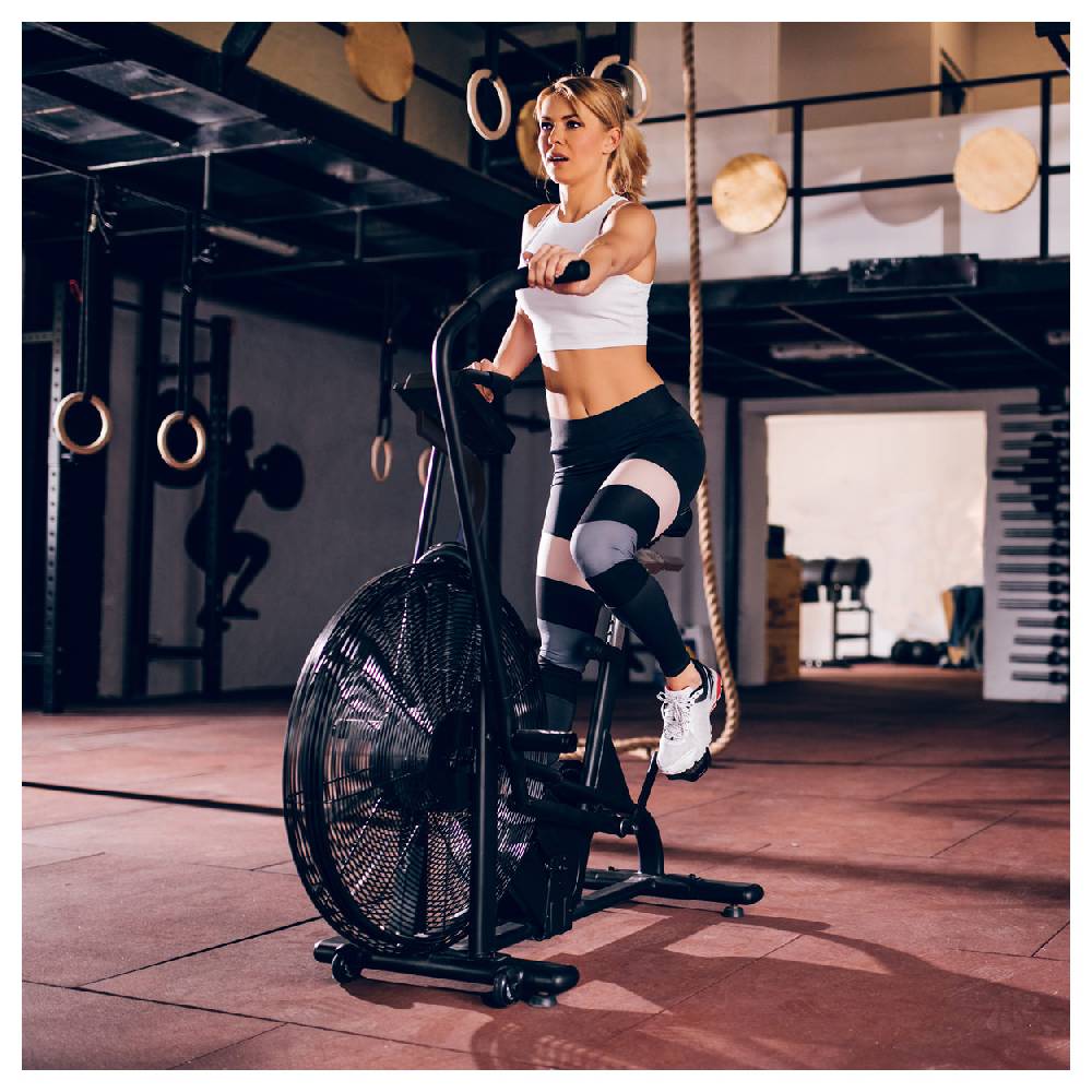 Sport Tec ASSAULT FITNESS AirBike Pro Bis zu 55% Rabatt