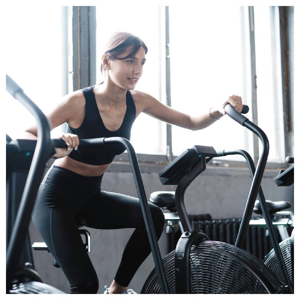 Sport Tec ASSAULT FITNESS AirBike Pro Bis zu 55% Rabatt