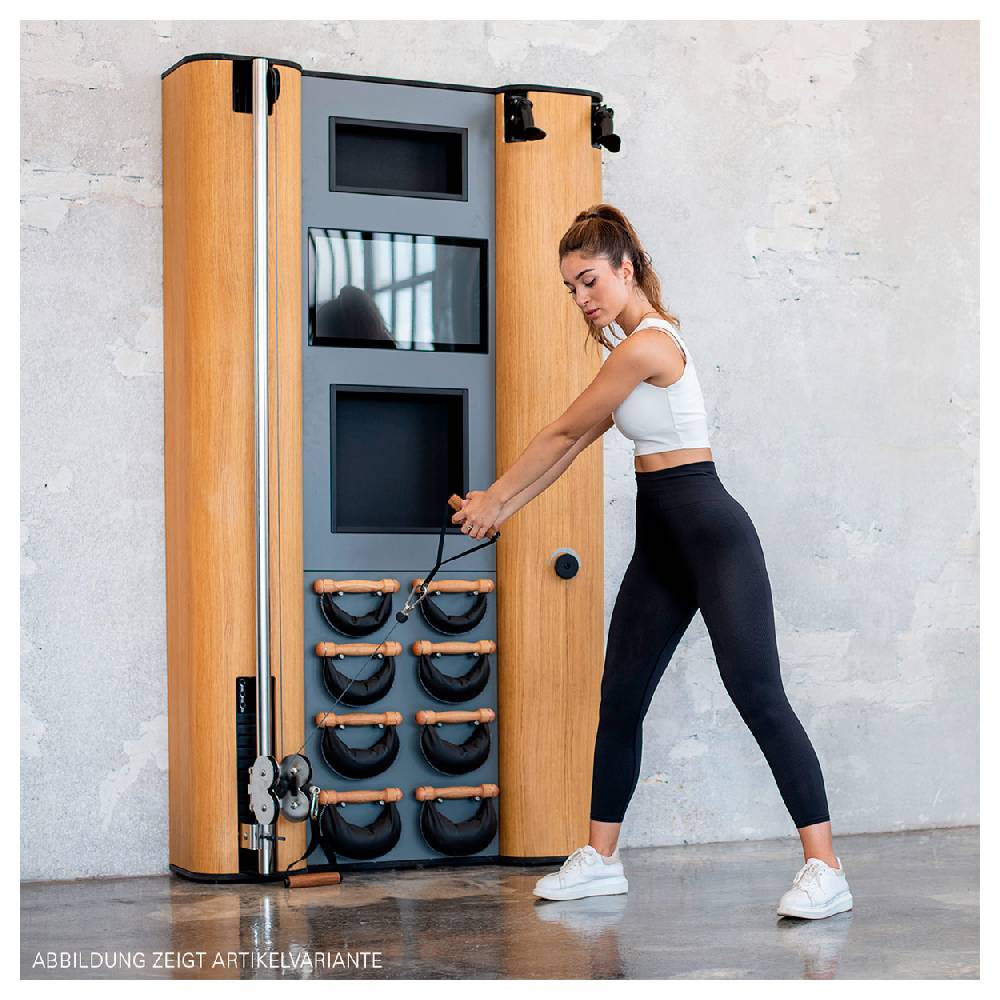 Sport Tec NOHrD Wall Compact, Seilzug, Skitrainer, 8 Swing Hanteln, Shadow JETZT KAUFEN